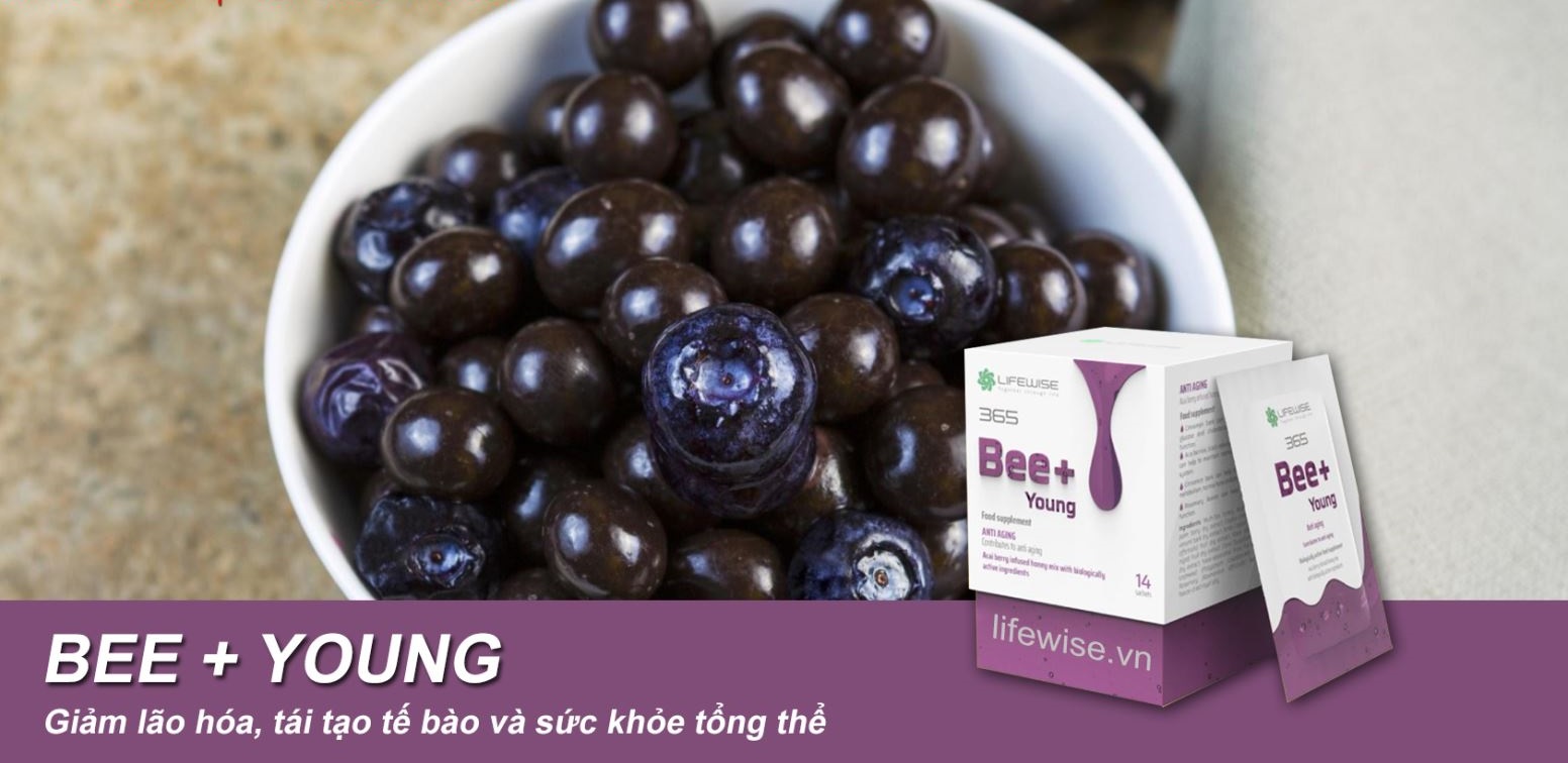 Sản phẩm LifeWise Bee+ Young