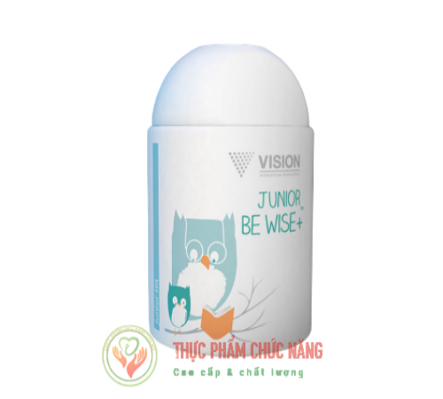 Vision Lifepac Junior Be Wise + 